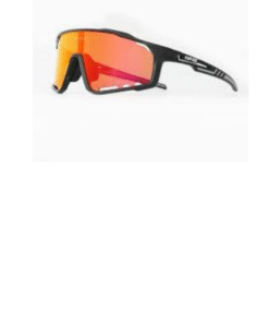 Riding Goggles